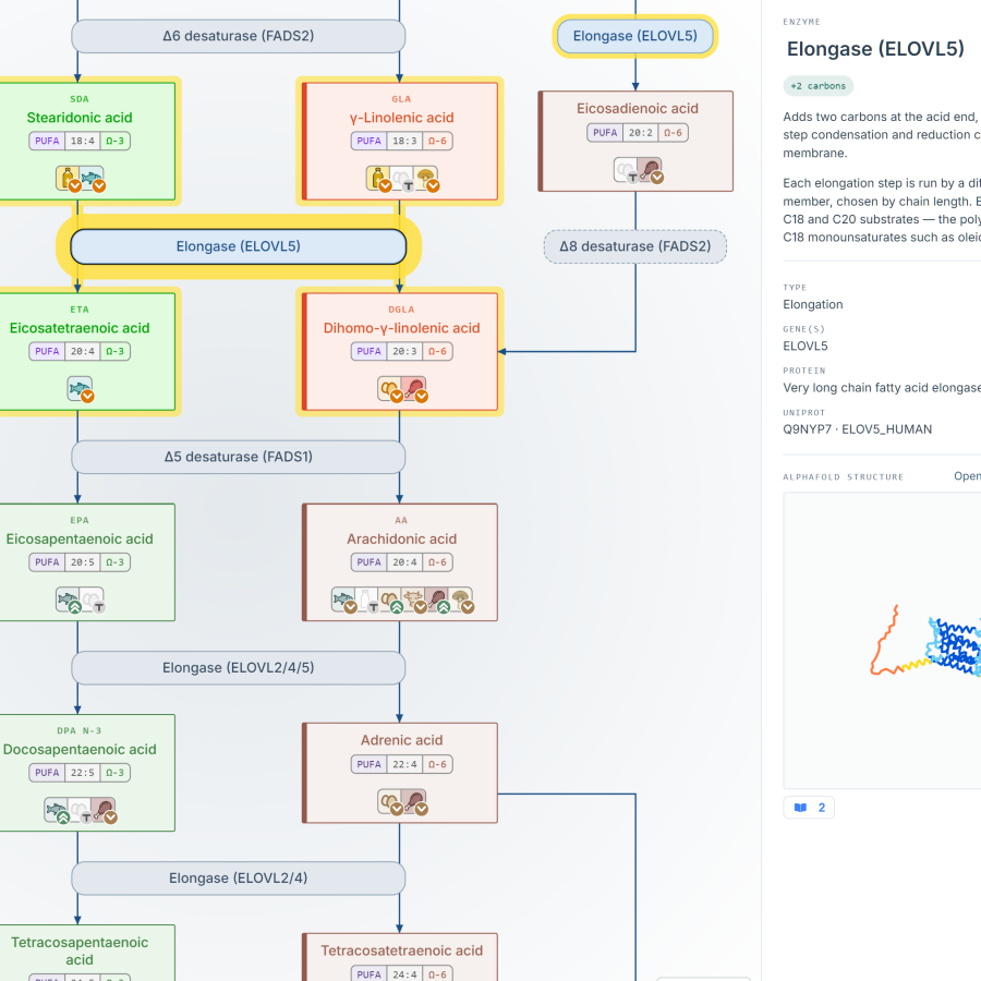 Biosynthesis pathway tool